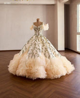 Champagne Ball Gown Luxury Prom Dress With Applique Quincess Evening Gowns 261001|Selinadress