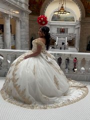 Off-the-shoulder Gold Sparkly Gown Princess Wedding Dress Evening Gowns sew1092|Selinadress