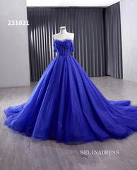 Royal Blue Sparkly Tulle Wedding Gown Off the Shoulder Quinceanera Dress 231031|Selinadress