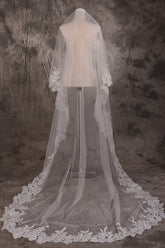 Long One Tier Lace Edge Cathedral Veil With Sequins Wedding Veils V25