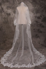 Long One Tier Lace Edge Cathedral Veil With Sequins Wedding Veils V25