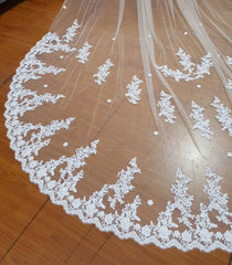 Charming Tulle Lace Applique Chapel Veils Long Wedding Veil V19