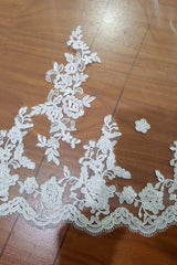 Charming Tulle Lace Applique Chapel Veils Long Wedding Veil V19