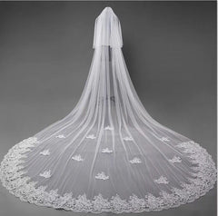 Cute Tulle Lace Appliques Chapel Veils Long Wedding Veil V20