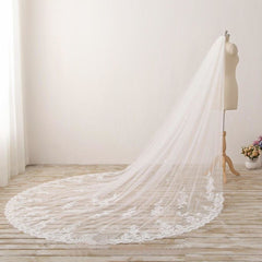 Chic 3M Long Tulle Lace With Applique Wedding Bridal Veil V12
