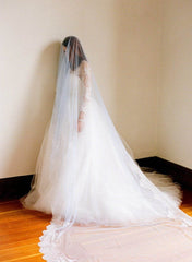 1T Tulle With Lace Cathedral Length Wedding Bridal Veil V11