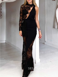 Chic Sheath/Column Black Lace Long Prom Dresses Elegant Long Sleeve Evening Formal Gowns SEW0175|Selinadress