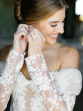 Mermaid Long Sleeve Wedding Dresses Gorgeous Lace Bridal Gown EVW001
