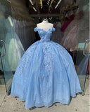 Off-the-shoulder Tulle Princess Appliqués Long Formal Prom Dress ABD001|Selinadress