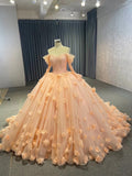 Beautiful Flower Ball Gowns Off-the-shoulder Sweet 16 Ball Gown Quinceanera Dress 231096|Selinadress