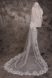 Long One Tier Lace Edge Cathedral Veil With Sequins Wedding Veils V25