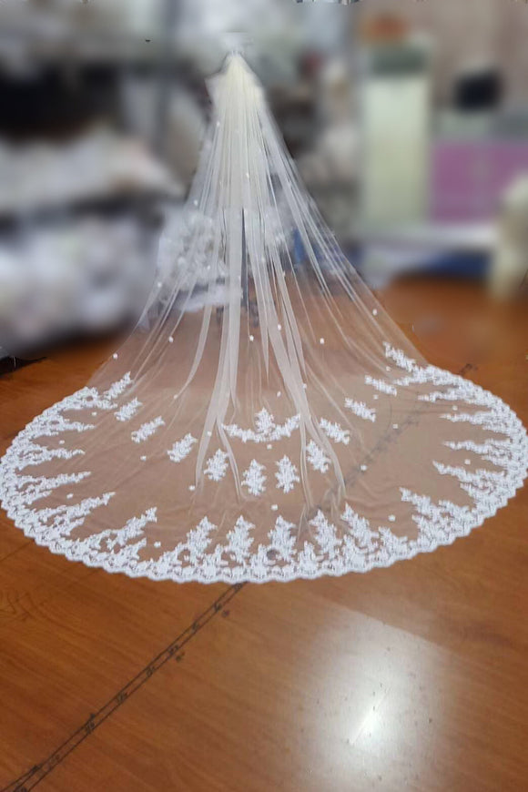 Charming Tulle Lace Applique Chapel Veils Long Wedding Veil V19
