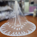 Charming Tulle Lace Applique Chapel Veils Long Wedding Veil V19