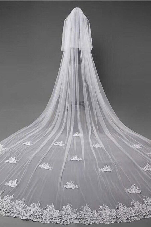Cute Tulle Lace Appliques Chapel Veils Long Wedding Veil V20