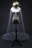 Beautiful Lace Appliques Tulle Long Wedding Veil V36