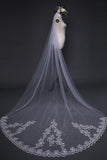 Beautiful Lace Appliques Tulle Long Wedding Veil V36