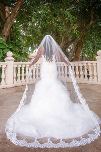Elegant Lace Appliques Long Chapel Veils Floor Length Wedding Veils V30