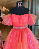 Chic High Low Strapless Long Prom Dress Organza Elegant Evening Dress #JKSS621|Selinadress