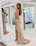 Chic Mermaid Straps Simple Long Prom Dress Elegant Formal Dress #LOP802|Selinadress