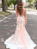 Chic Mermaid V neck Lace Long Prom Dresses Applique Evening Gowns CBD538|Selinadress