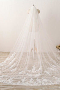 Chic 3M Long Tulle Lace With Applique Wedding Bridal Veil V12
