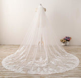 Chic 3M Long Tulle Lace With Applique Wedding Bridal Veil V12